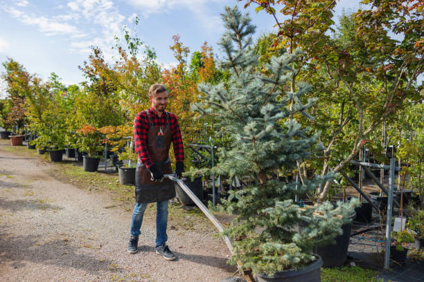 Best Tree and Shrub Care  in North Brooksville, FL